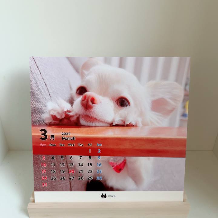 F77e5857 c0ef 470b bfc8 66380ff46a49 1709368156384