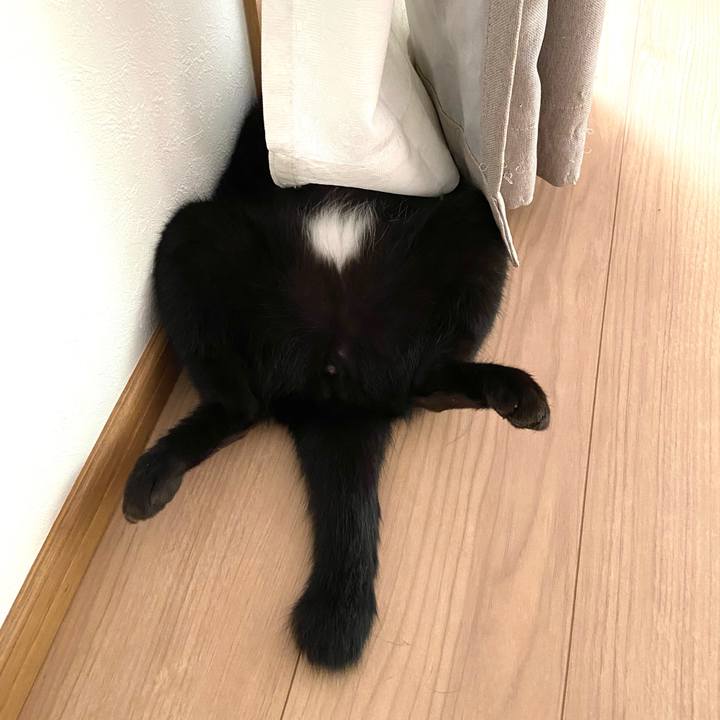 F77e69bd 00fb 40fd 8f35 ad117957d7cc 1659268576894