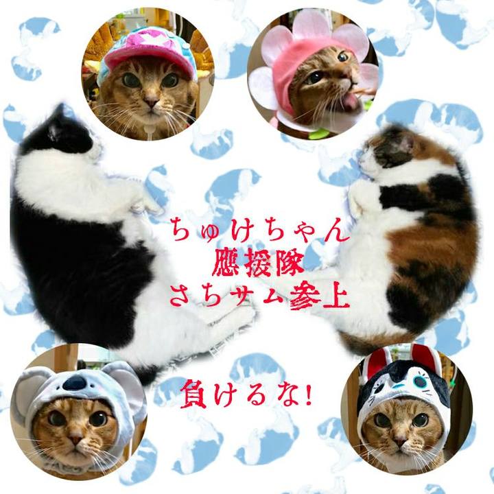 F77e963f 6b6c 451c 9573 ffe42eb80ddc 1565003857051