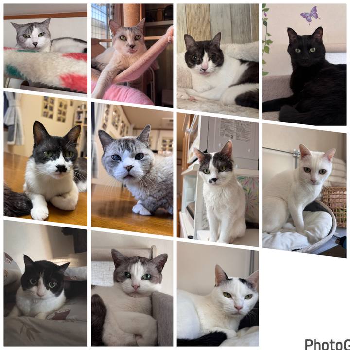 F77ebdc3 2454 478c 839a 73e8073bedfb 1767442683239