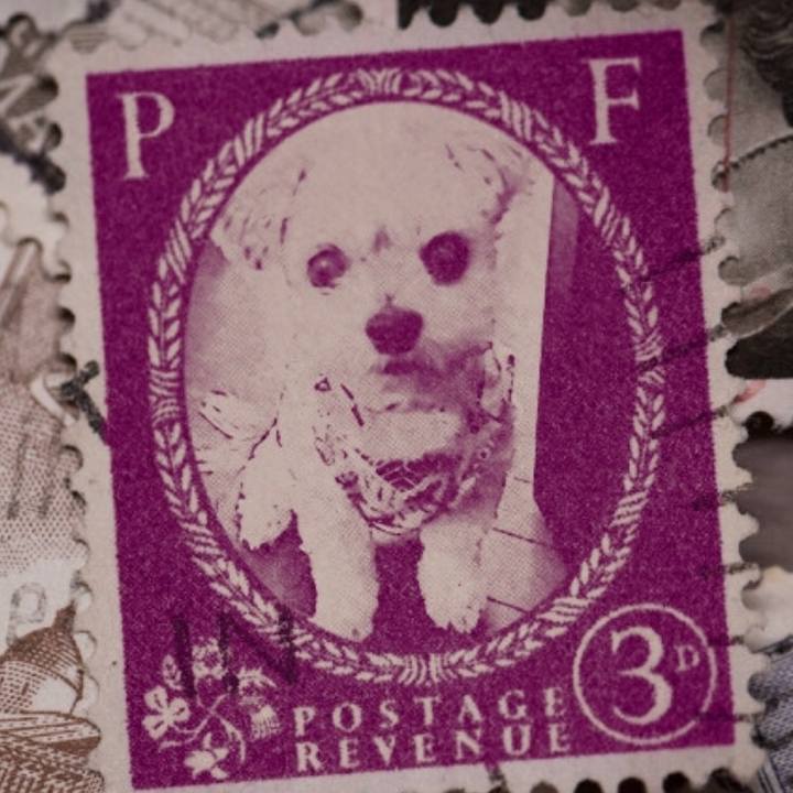 F77eda20 7caa 4a29 9626 e4a8fbcd3aa9 1569917786478