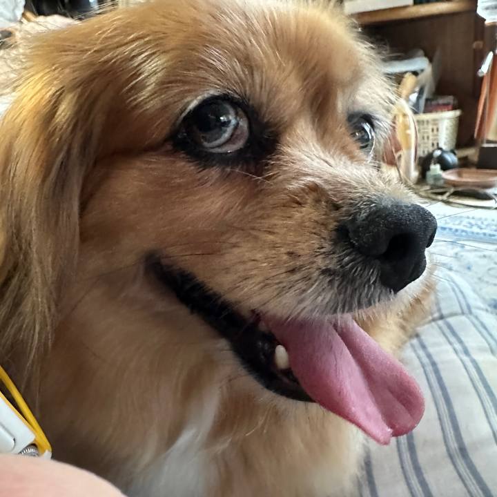 F77efd01 ab64 459e b2bb faa7989fe612 1751403776458