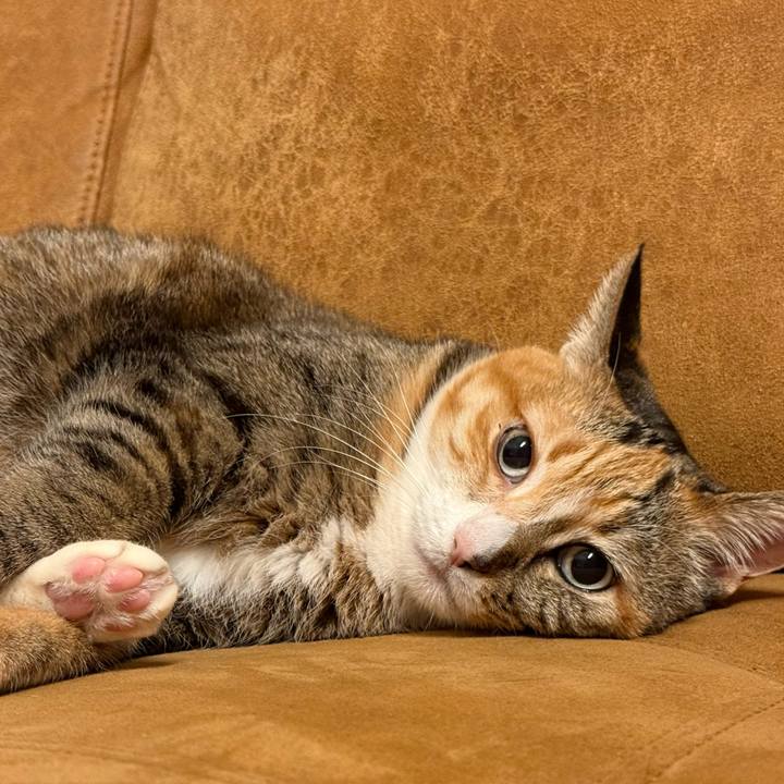 F77f032e af47 4fa1 a28b 4203ff59e57f 1774908765095