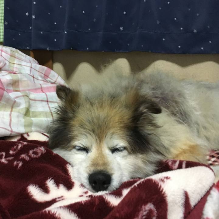 F77f4dec dd55 4c34 b34f 273273bad23e 1566326086927