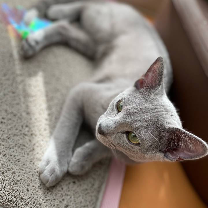 F77f5157 1052 43fb 9a57 b111db67ce8f 1608085799123