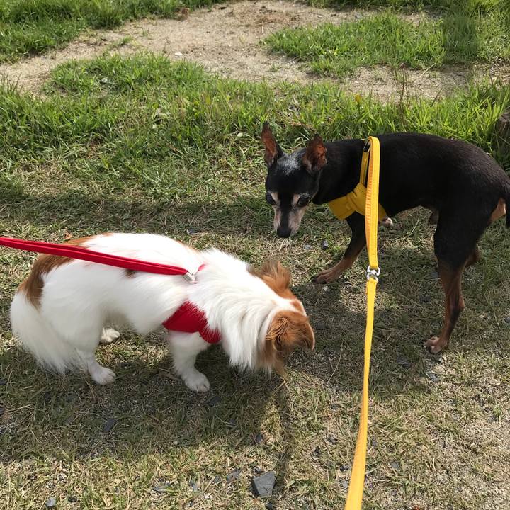 F77f7507 558d 4d66 9d77 b5e3917e4b08 1535277837544