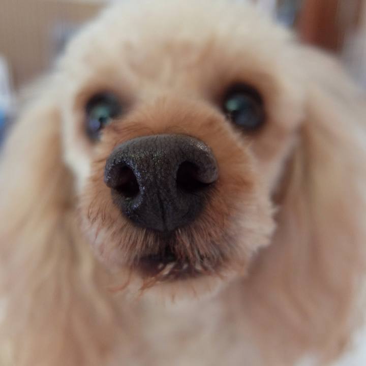 F77f892e 4f05 43ea bf3a e7627376d7f8 1523753007379