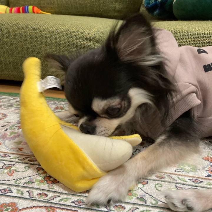 F77f955a 4c7a 4817 92d8 e71217fe02e1 1668951253473