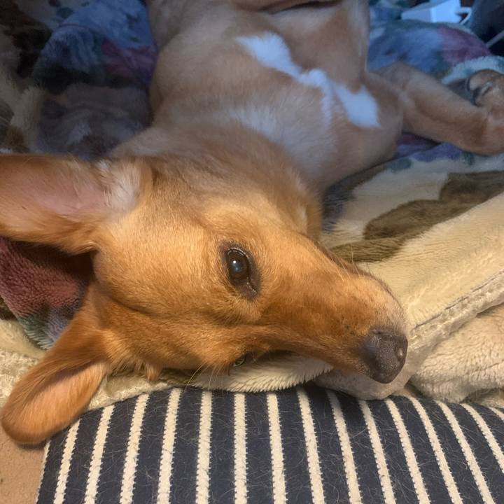 F77fa7e2 3405 4153 843c 0d7bb8a960a0 1621663134401