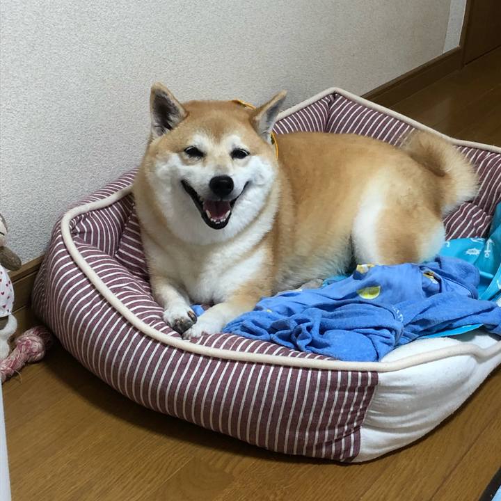 F77fcd85 4df5 41ba 944e 17dee31fbe52 1569279725438