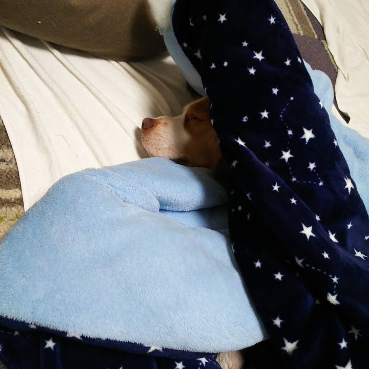 F77ff791 5048 49cc 826a 02b22bd69fb4 1554478453021