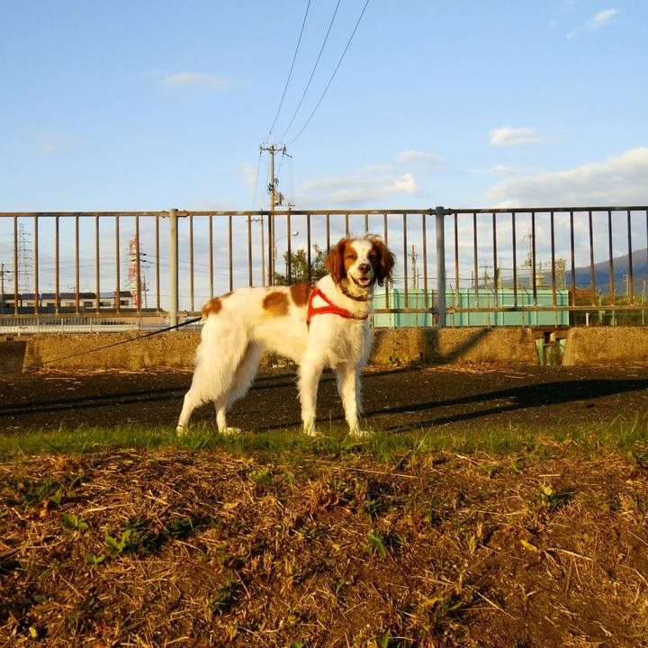 F7801111 943c 4807 8b24 1790cd74e7d2 1541325181696