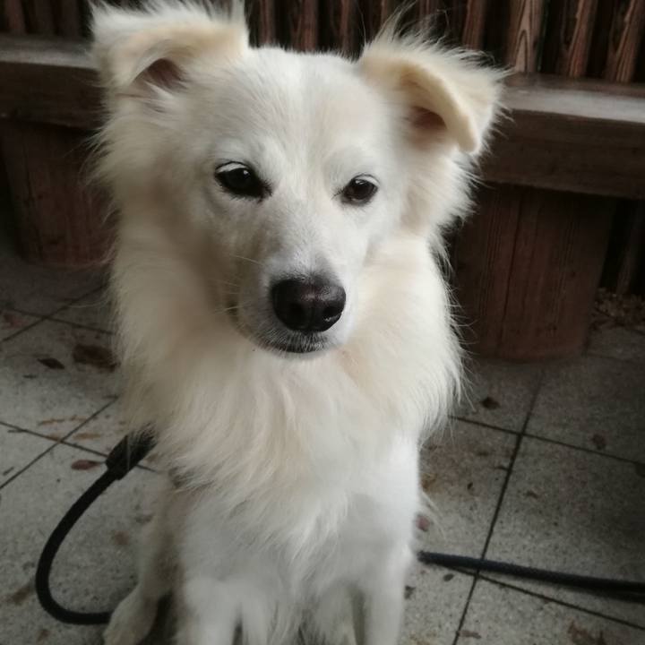 F780116f 2275 4a5a 856d 696d2183e4fb 1508403937504