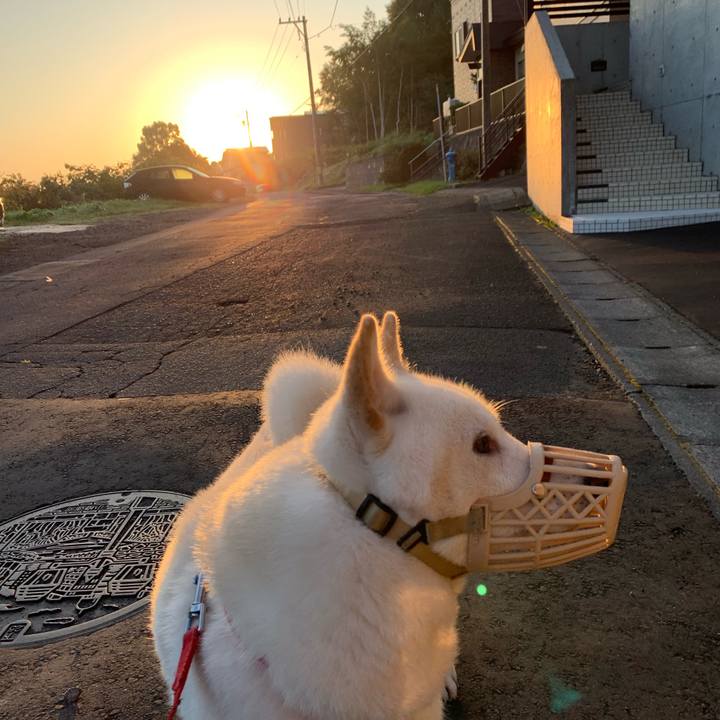 F7801b04 a3f0 4ce5 adff 5072f0d3cc95 1569532913287