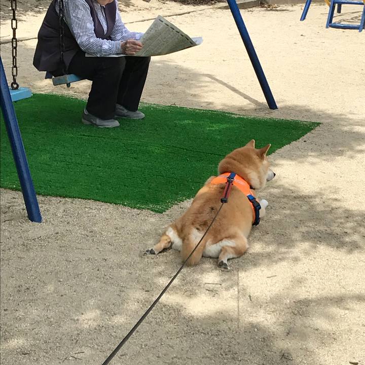 F7809dbc 612a 454a 8c1f 208ca2b1a194 1529644992424