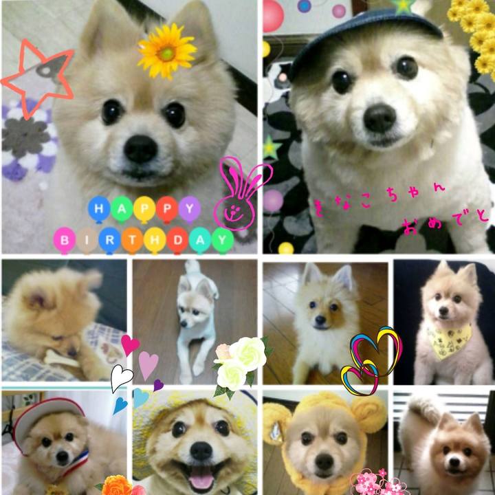 F7811ea6 9aeb 4cae 995a 102731d07f2f 1521472657962