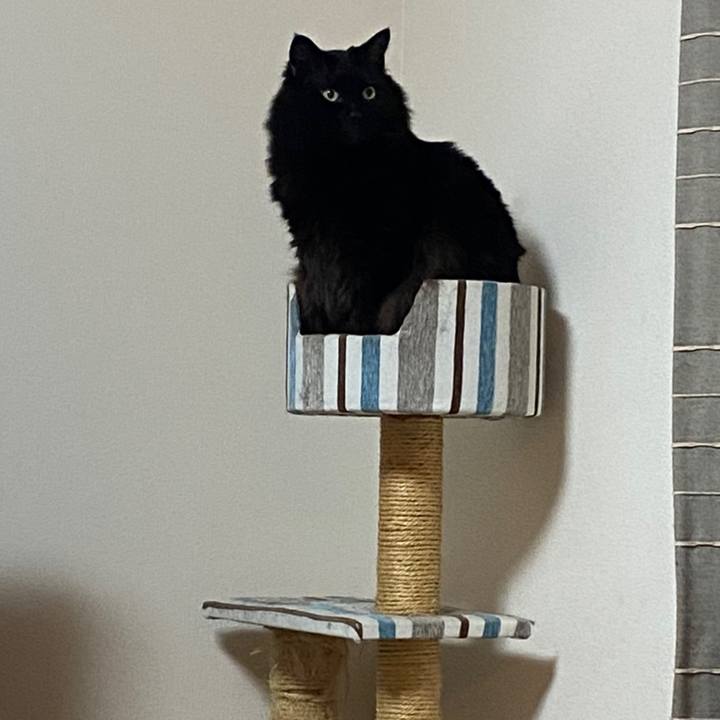 F7812d86 964d 4c20 a31b 10bb0f84b4c6 1614250774842