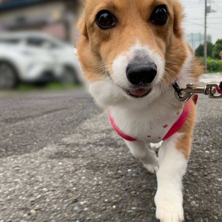 F7814295 0715 45c4 8035 1581cfc2c17b 1595108444983