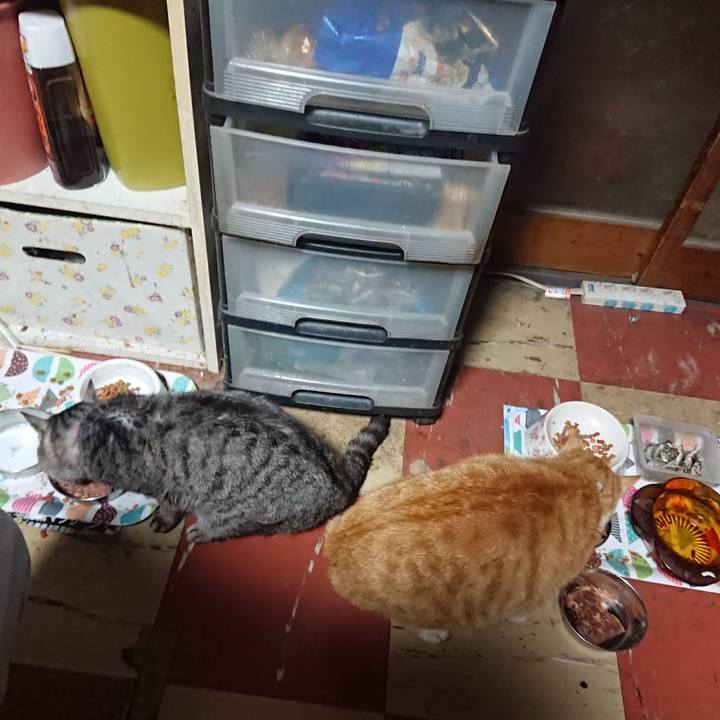 F78147ce 8db2 482c b0ce 8b941ecf46c1 1589918027590