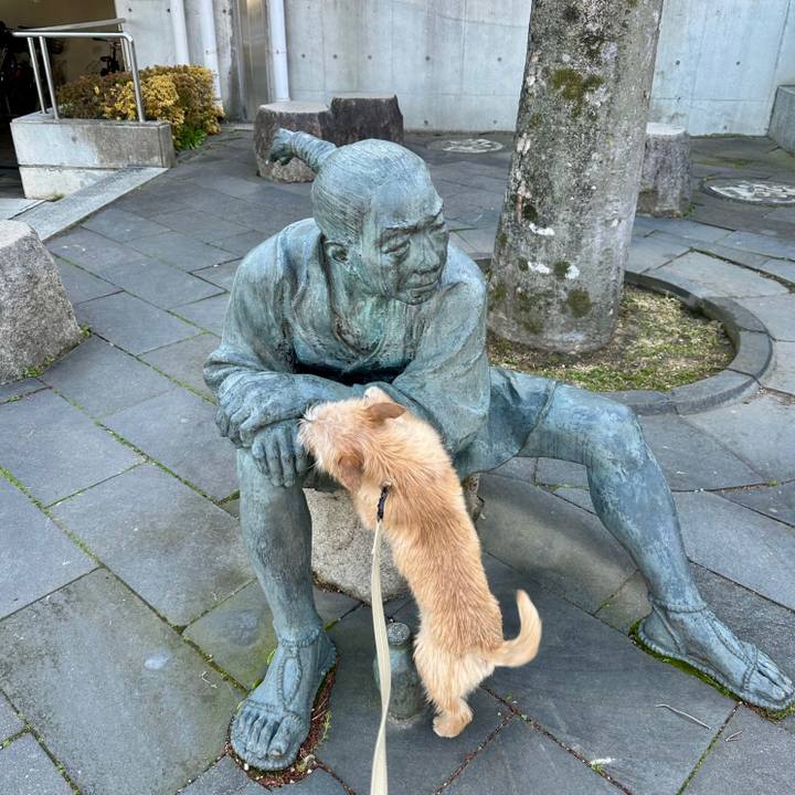 F7814a1a d90d 4cc7 bac1 5150b8c5415e 1710503587442