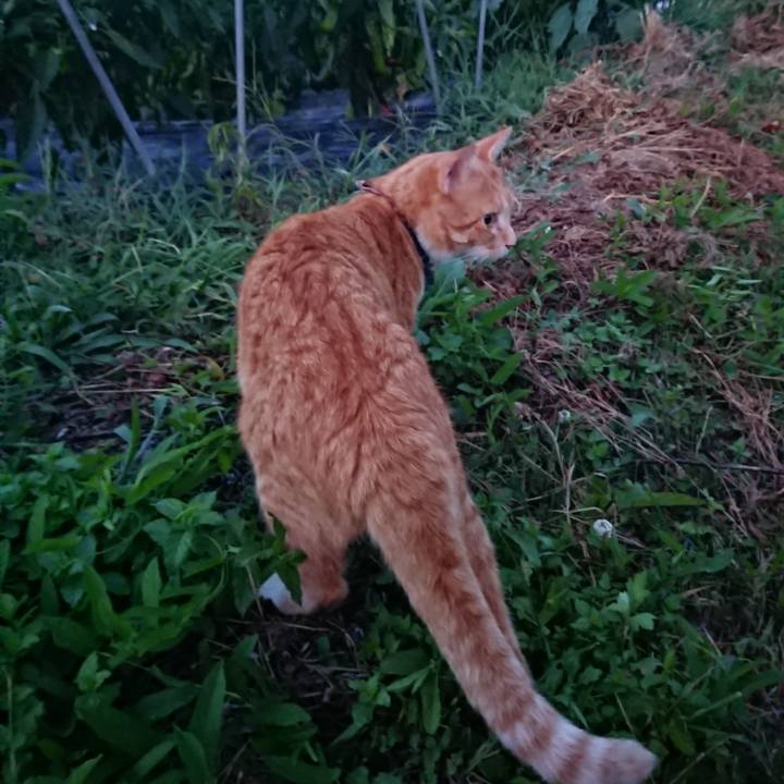 F7814ca6 dad2 4ec0 bd06 26655526a36f 1565437839783