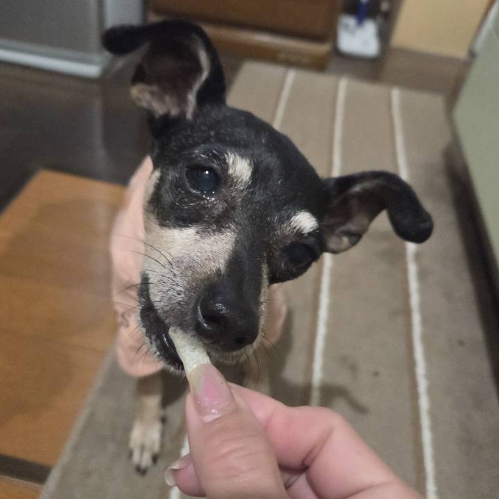 F7818177 6178 4195 a4be 61573448f83a 1748461300151