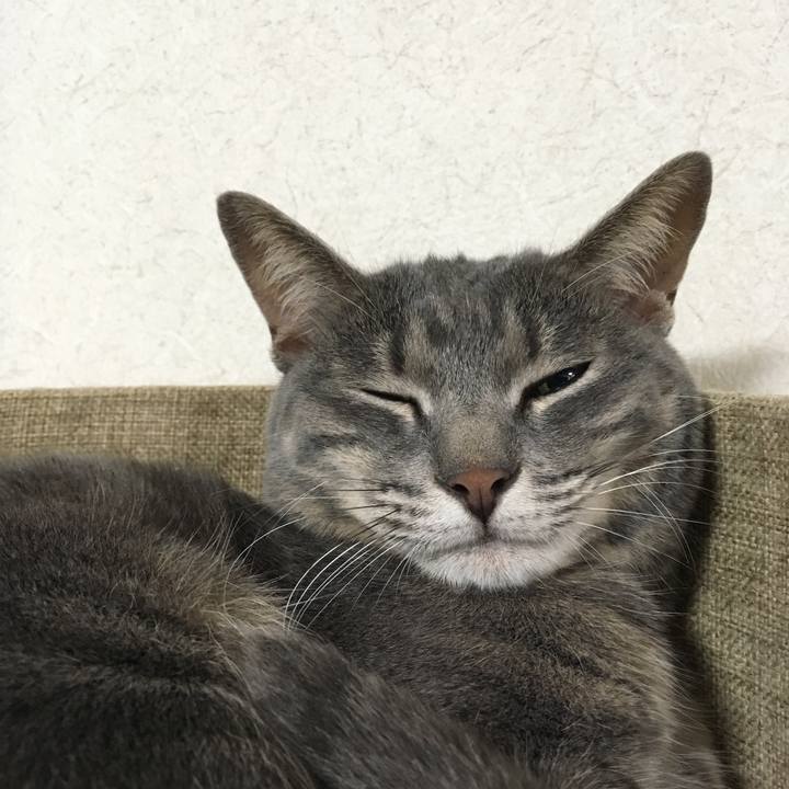 F78187cd 044a 45a1 b5be c1c1d5af7a22 1532611497834