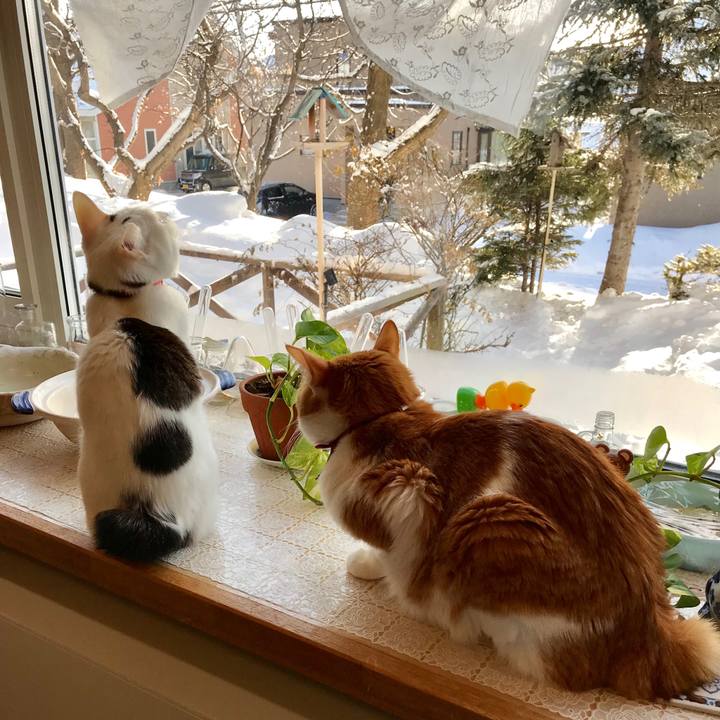 F78194d5 d2de 4347 8ec8 466f7a5fea42 1549841356769