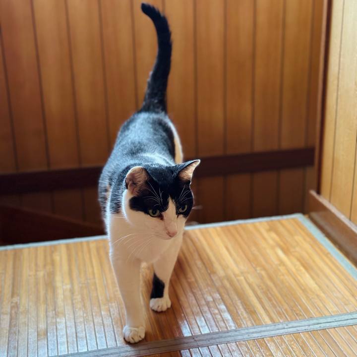 F7819e7f e3ad 4902 8d18 b289aa8eda16 1691543265810