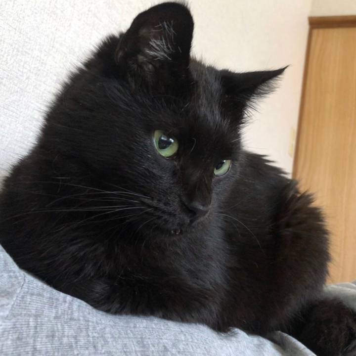 F781b497 4d44 4418 9971 6e9b35171846 1597113726380