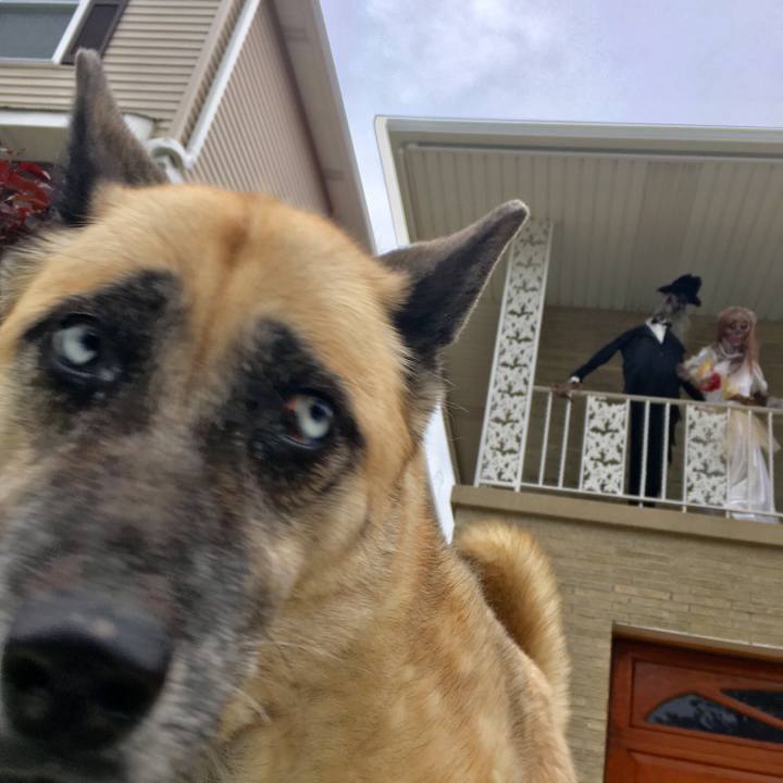 F781c7f4 4d94 4029 9088 7d1250a7bc2f 1509239618951