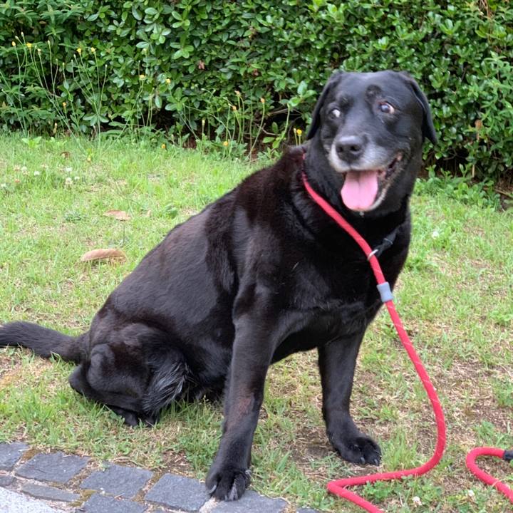 F781e997 d22e 4828 a7b2 aa5e18732044 1558520752190