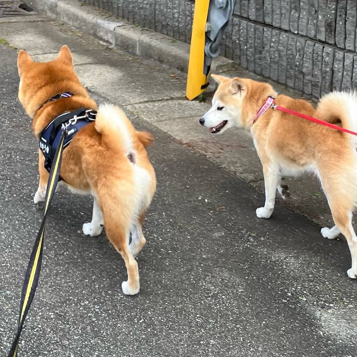 F782307e 0e95 4390 86af 8b5a05d530c6 1763847049559