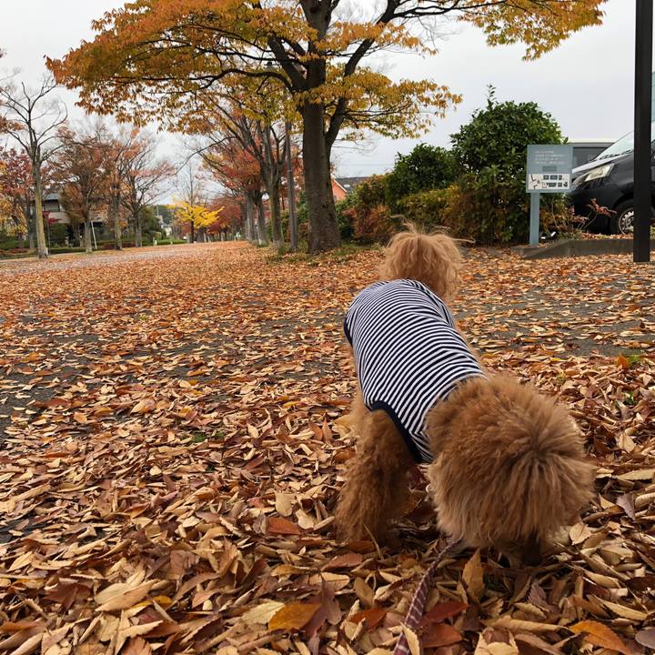 F7823802 db5f 4738 944d 16816c7c7d40 1541379748127