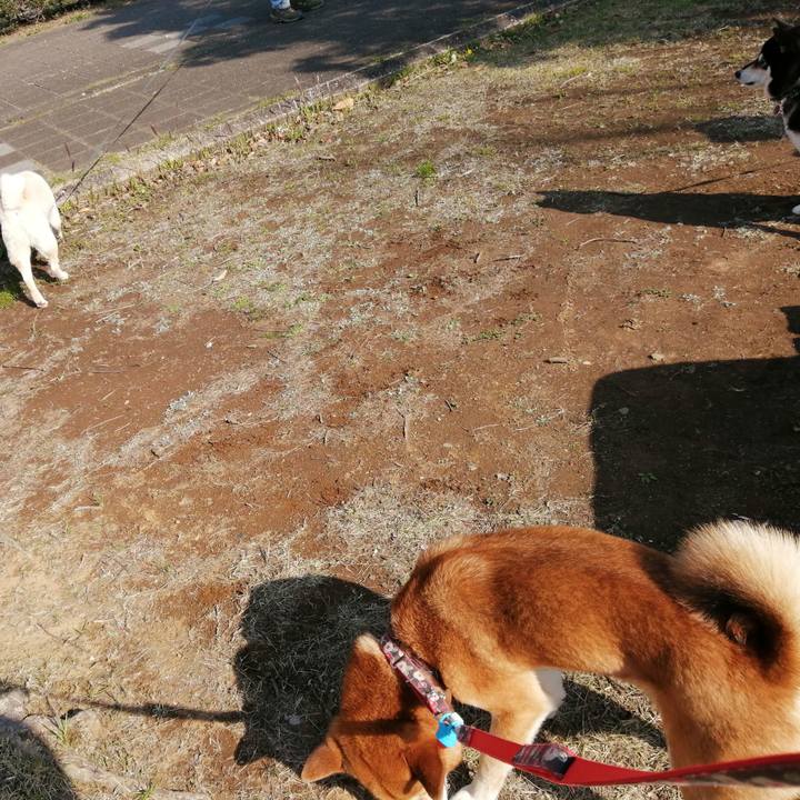 F7823a2e a76a 4222 ba39 a0f8d998dbae 1586391817966