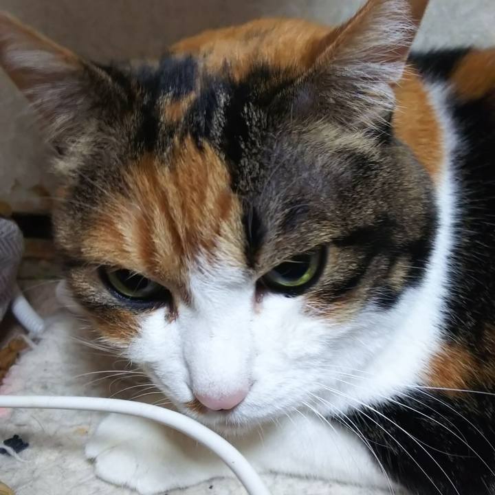 F7824d13 3197 4d56 b57c 20a4eee8b7b6 1574461367835