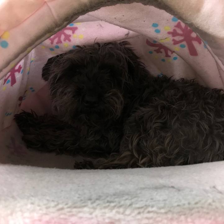 F782831f 744f 4f46 ad7c fb64582d4fda 1523537557767