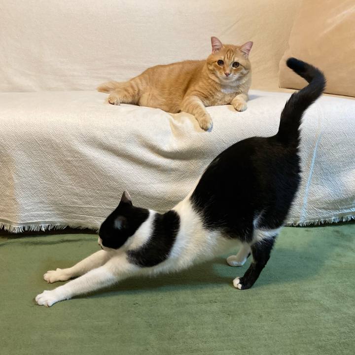 F78297f2 722e 48ae ba52 50b42081bdd1 1762775435343