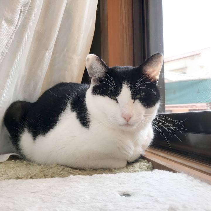 F782a856 6b3d 4e9d 96fd 7c4d9e4fdb9f 1522580911396