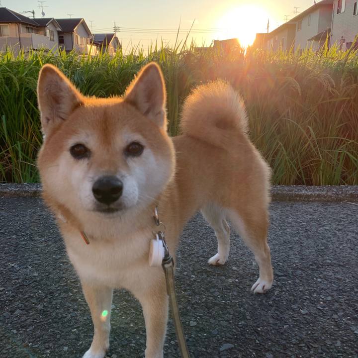 F782a983 499a 4e6d a9ec b05052f3d271 1569580175072