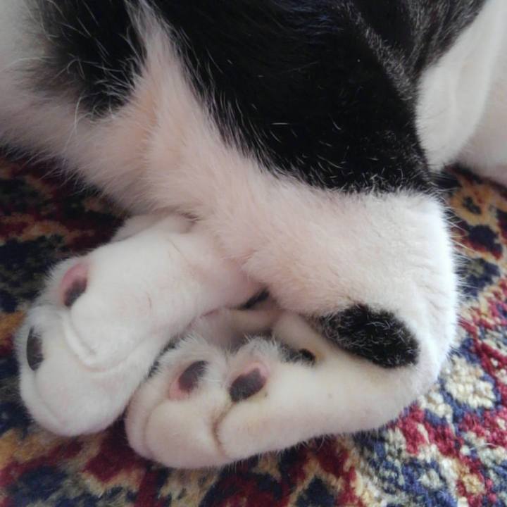 F782c5f0 aa0a 4e74 8e1c 6509b0db57cd 1554883123620