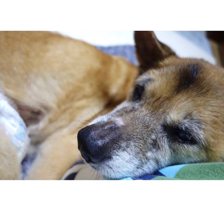 F78308fa 9e48 431a a63f ea1c0bd949be 1567812804766