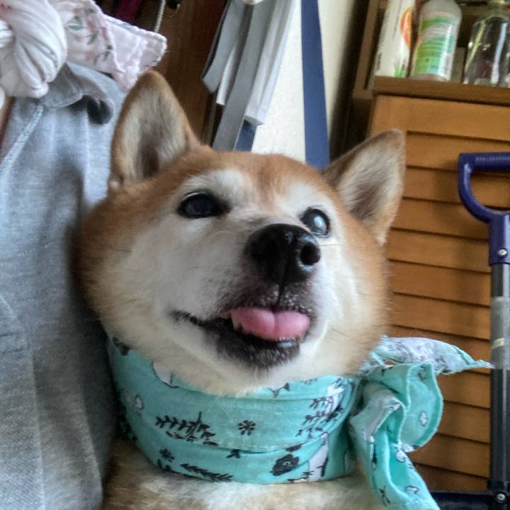 F78355b4 943d 4c61 a107 cf1e907329d3 1720429699484