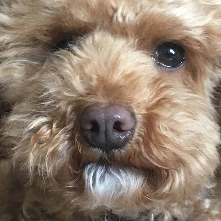 F7836c07 bcd0 4142 a461 3f1c730a337c 1523495429655