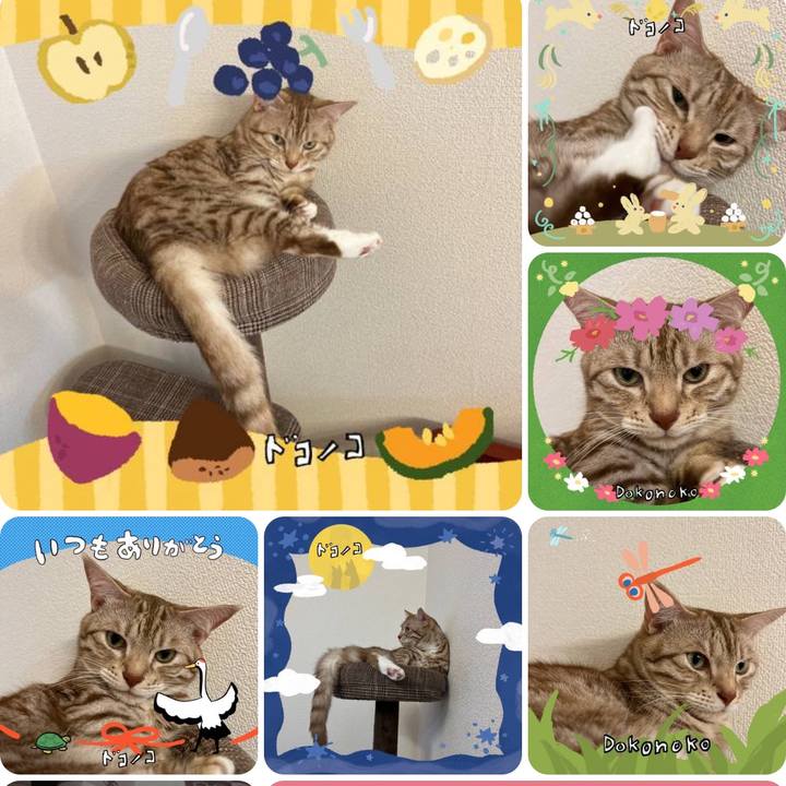 F7839efe a977 42d9 9f68 c073ab7d20e8 1726920614973