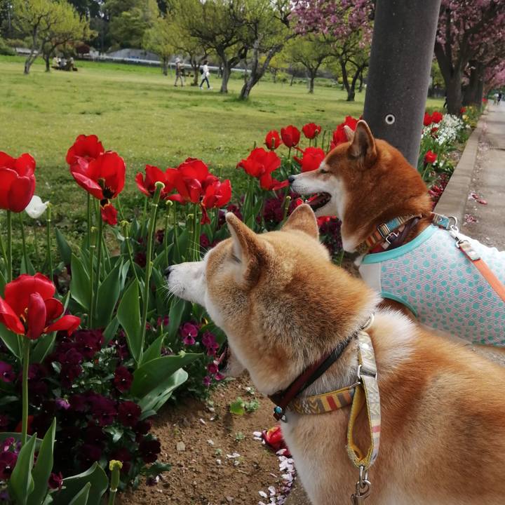 F783c3f5 c381 437c 968b 0cfde25bbc24 1681461090327