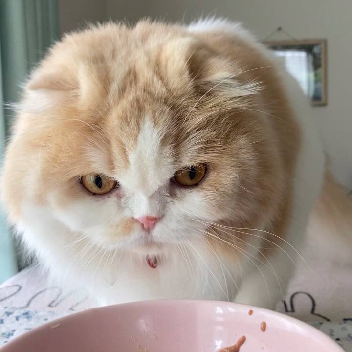 F783ee73 e533 43ef 8bd8 59c2a0d0bf91 1632870903126