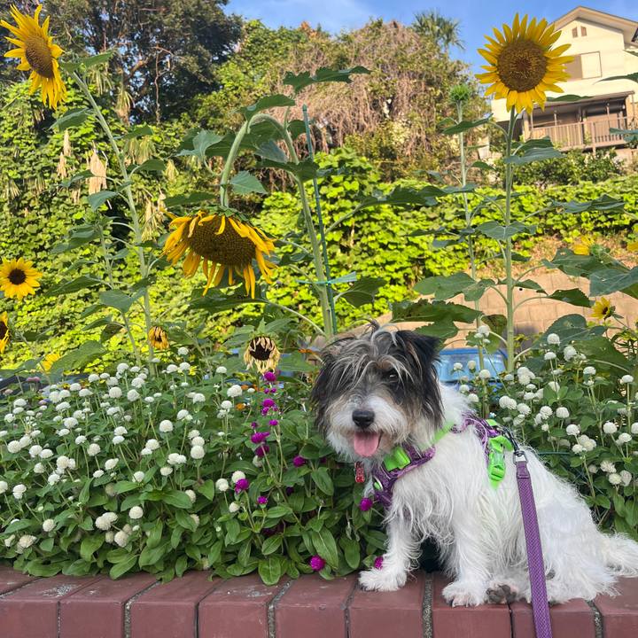 F7844711 5960 4734 a984 b6bd831ef251 1787091425861