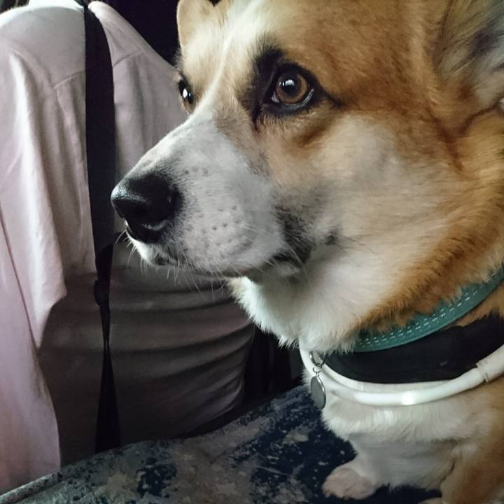 F784495a 56f0 4684 9a26 bdfe15e971d1 1649632224343