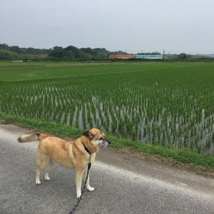 F7844b5c 8a67 49f7 9b75 85c19e27f508 1528595478391